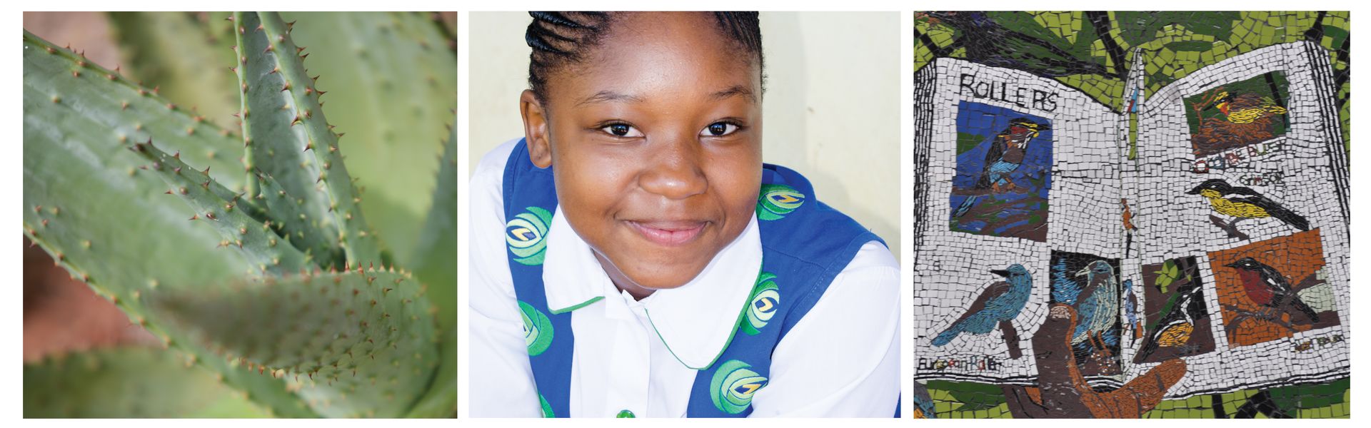 Contact Us Feature Image